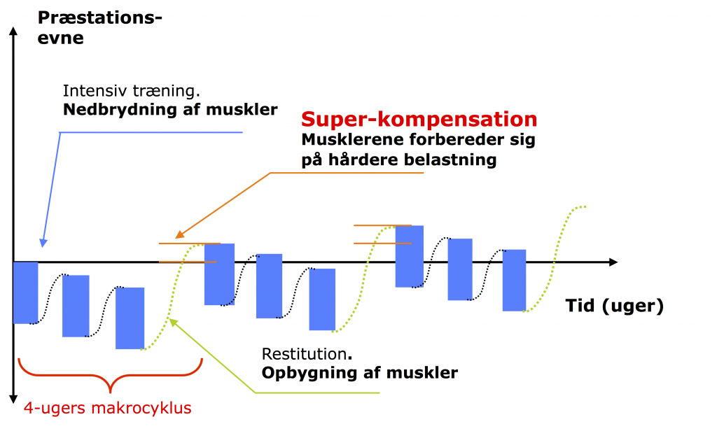 superkompensation