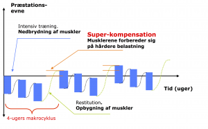 restitution skadeforebyggelse
